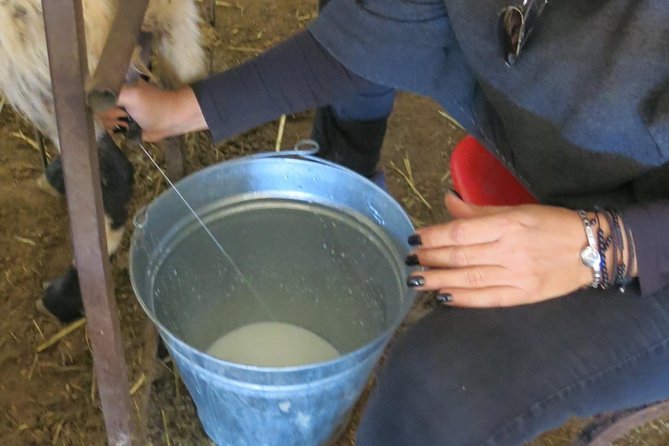 Halloumi Heaven: Cheese-Making Class & Troodos Mountain Villages 8h - Exploring Lefkara Village: Lace and Shopping