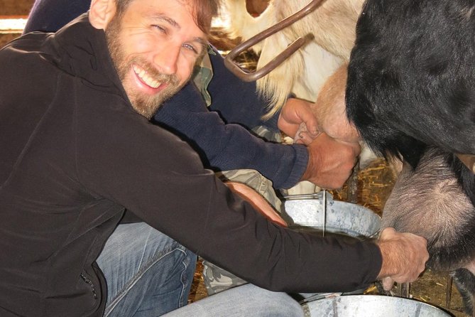 Halloumi Heaven: Cheese-Making Class & Troodos Mountain Villages 8h - All-Inclusive Tasting and Cultural Immersion