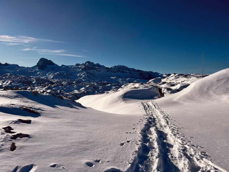 Hallstatt: Panoramic Snowshoe Hike to Heilbronner Cross - Exploring the Panoramic Snowshoe Trail Above Hallstatt