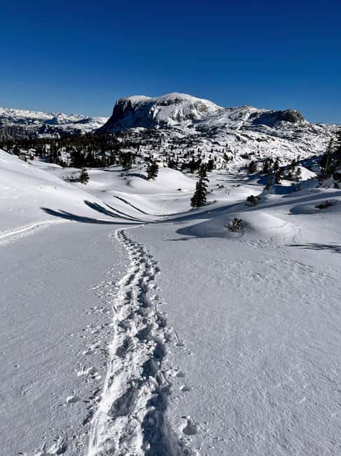 Hallstatt: Snowshoeing from Krippenstein to Zwölferkogel - Key Points