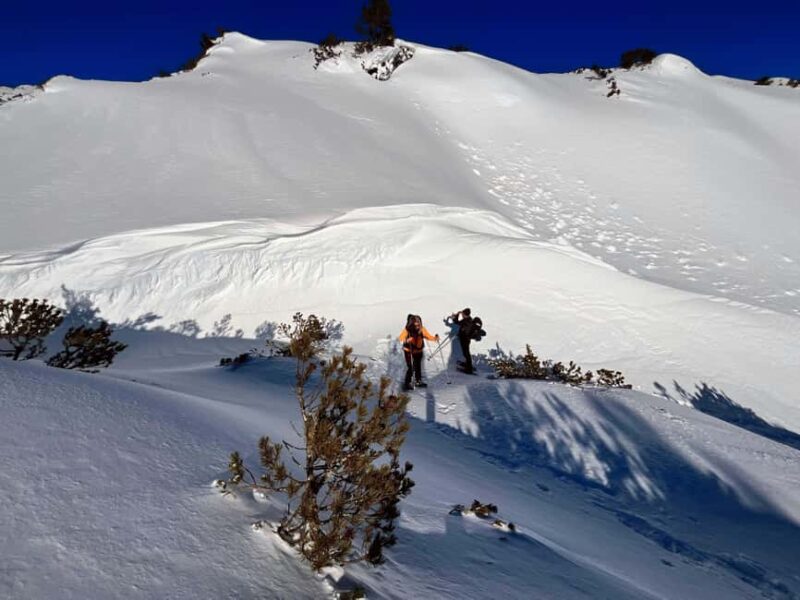 Hallstatt: Snowshoeing from Krippenstein to Zwölferkogel - Discover the Snowshoe Trek to Zwölferkogel in Upper Austria