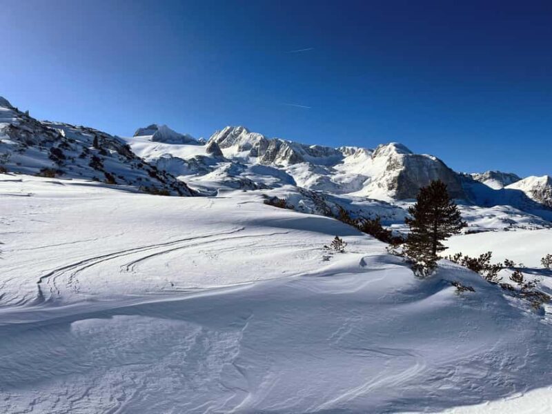 Hallstatt: Snowshoeing from Krippenstein to Zwölferkogel - Physical Requirements and Accessibility
