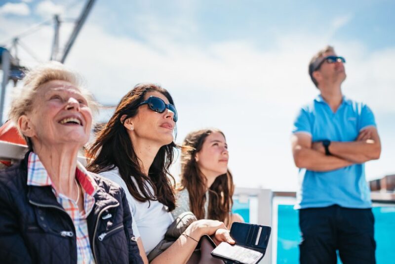 Hamburg: 1.5-Hour Harbor and Speicherstadt Day Cruise - Hamburg: 1.5-Hour Harbor and Speicherstadt Day Cruise