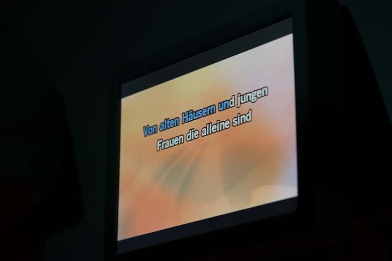 Hamburg: 1.5-Hour International Karaoke Bus Tour - Hamburgs Reeperbahn: The Tour Starting Point and Finish Line