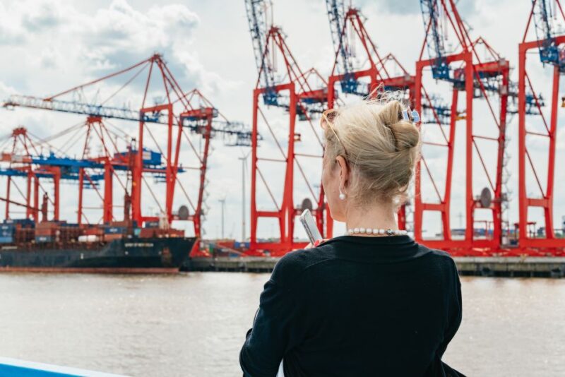 Hamburg: 1-Hour Harbor Sightseeing Cruise with HafenCity - Bridges Over the Elbe River and Cityscape Views