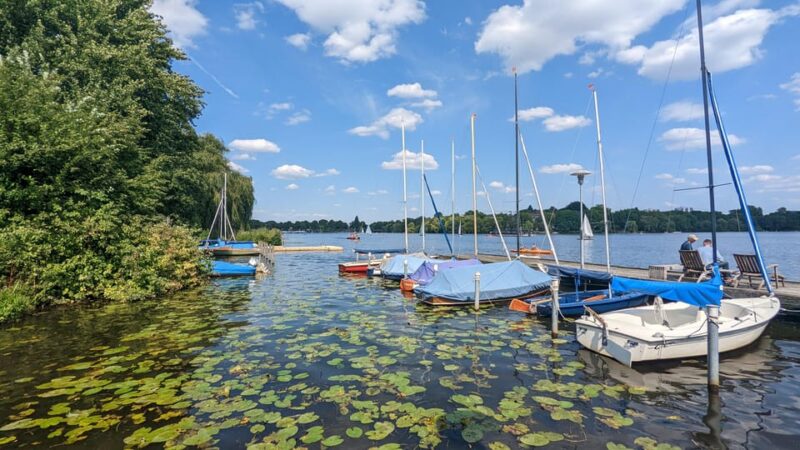 Hamburg among friends - Van tour - Experience Hamburg Among Friends in a Luxury Van