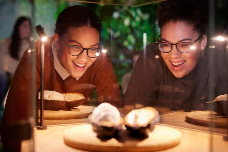 Hamburg: Chocoversum Guided Tour with Tastings - Making Your Own Chocolate Bar: A Hands-On Highlight