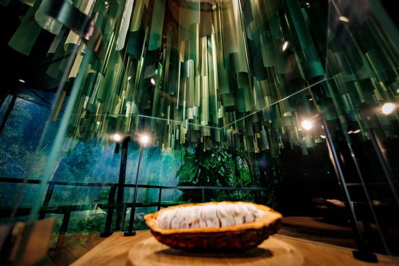 Hamburg: Chocoversum Guided Tour with Tastings - Accessibility and Group Size