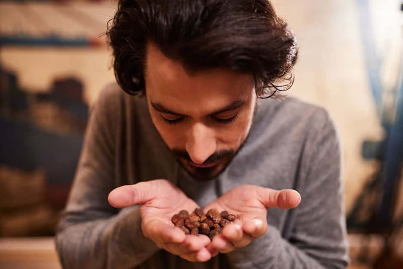 Hamburg: Chocoversum Guided Tour with Tastings - What Makes This Tour Stand Out