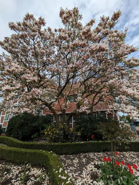 Hamburg Country Side - Altes Land - Hamburg’s Countryside and Altes Land – An Overview