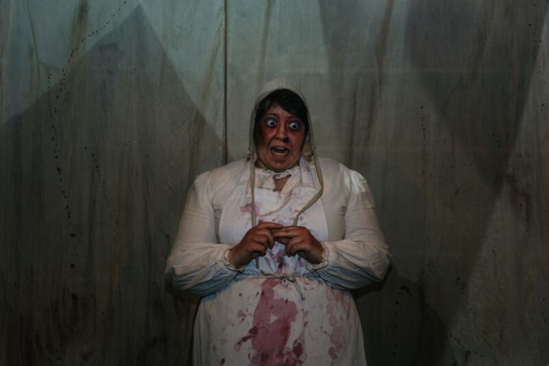 Hamburg: Hamburg Dungeon Admission Ticket - What You Can Expect During the 70-Minute Tour