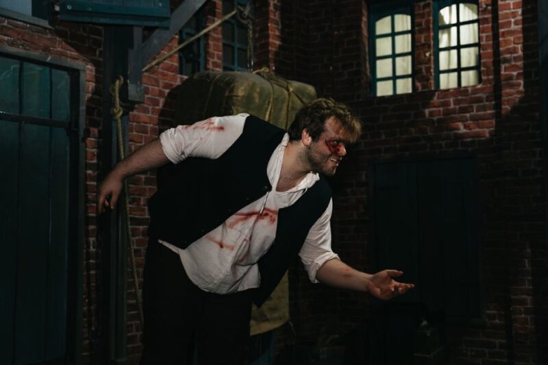 Hamburg: Hamburg Dungeon Admission Ticket - Accessibility and Practical Information