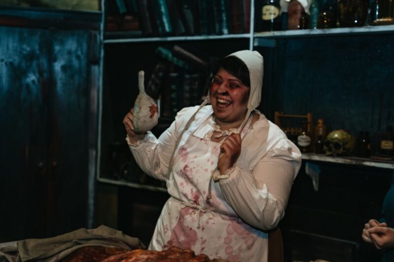 Hamburg: Hamburg Dungeon Admission Ticket - Who Should Visit the Hamburg Dungeon?