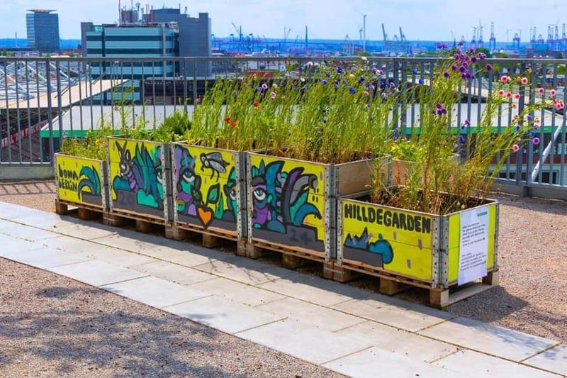 Hamburg: St. Pauli Green Bunker Tour in German - Important Rules and Restrictions