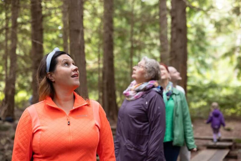 Hämeenlinna: Aulanko Park Forest Guided Walking Tour - Hämeenlinna’s Aulanko Park Forest: A Guided Introduction