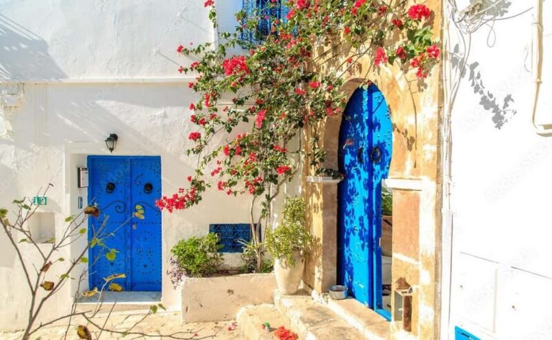 Hammamet: Carthage & Sidi Bou Said Half-Day Tour - Tasting Tunisian Flavors at Café des Délices