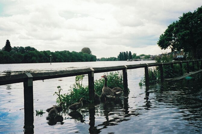 Hammersmith to Chiswick: A Self-Guided Audio Tour along the Riverside - Ending at St Nicholas Church