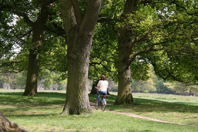 Hampton Court Palace Grounds Bike Tour - Visiting Hampton Court Palace: An Iconic Royal Residence