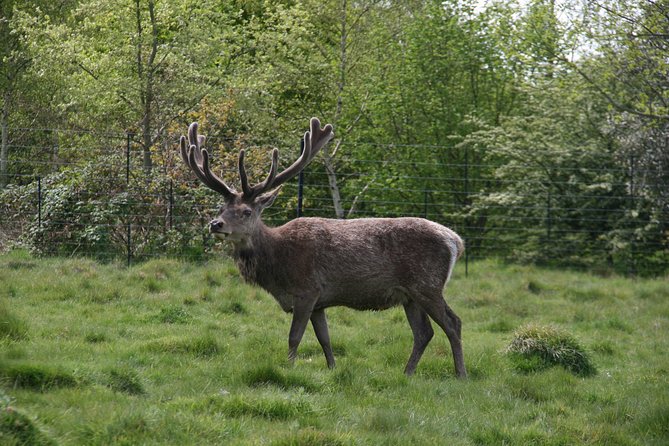 Hampton Court Palace Grounds Bike Tour - The River Thames and Long Water: Scenic Waterways and Royal Views