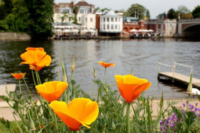 Hampton Court Walking Tour - Pricing and Value Compared to Other Options