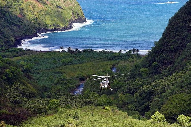 Hana Rainforest Helicopter Flight with Landing from Maui - Who Should Consider This Tour