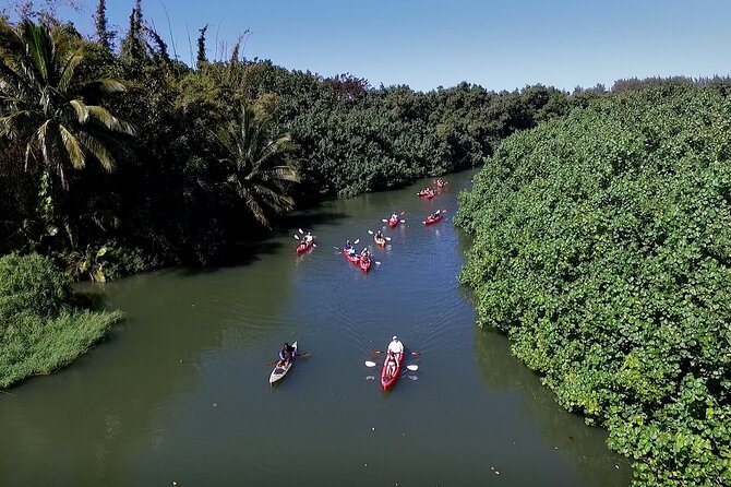Hanalei Bay PM Kayak & Snorkel in Kauai - Exploring Hanalei Bay and Encountering Sea Turtles