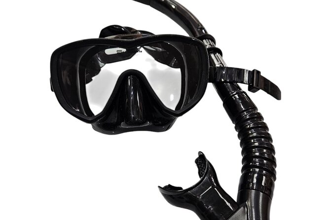 Hanauma Bay Experience with Admission Ticket and Equipment - Why Choose the Hanauma Bay Experience with Equipment Rental?