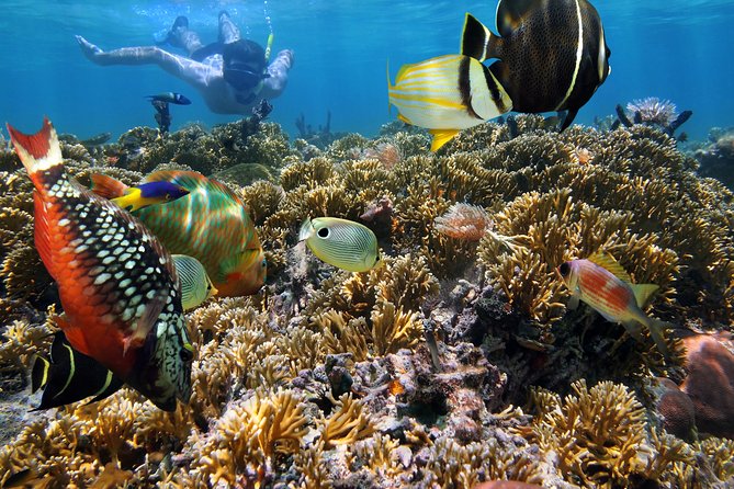 Hanauma Bay Snorkeling - Additional Costs and Inclusions