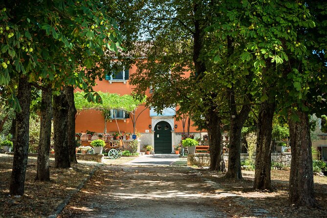 Hands on clay - be creative and make a pot - The Art of Handbuilding and Wheel Throwing