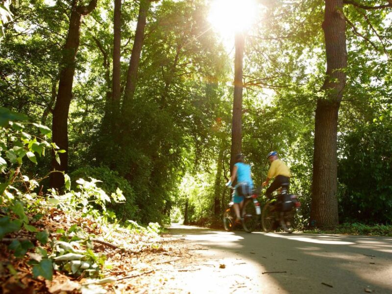 Hannover: Culinary walking tour district List/Oststadt - Tasting Local Specialties at Various Food Stations