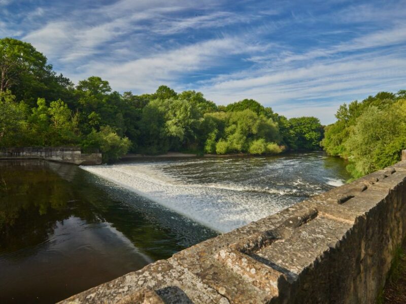 Hannover: Guided Bike Tour for Foodies with Tastings - Real Culinary Experiences with Scenic City Views