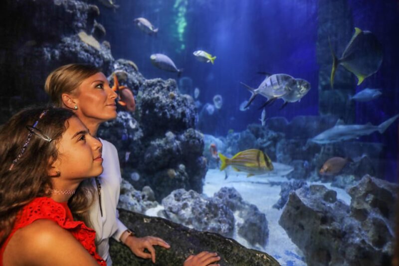 Hanover: SEA LIFE Entry Ticket - Explore the Marine World at SEA LIFE Hannover for $22