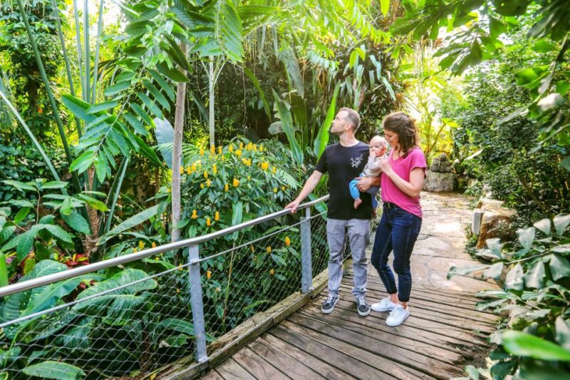 Hanover: SEA LIFE Entry Ticket - Journey from the Leine River to the Tropical Seas