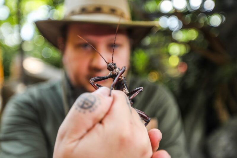 Hanover: SEA LIFE Entry Ticket - Practical Details: How to Find and Access SEA LIFE Hannover