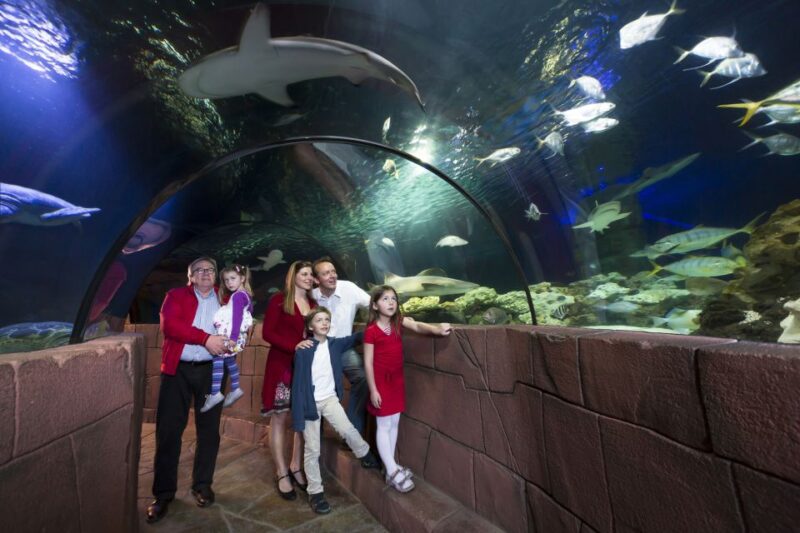 Hanover: SEA LIFE Entry Ticket - Value and Additional Offerings