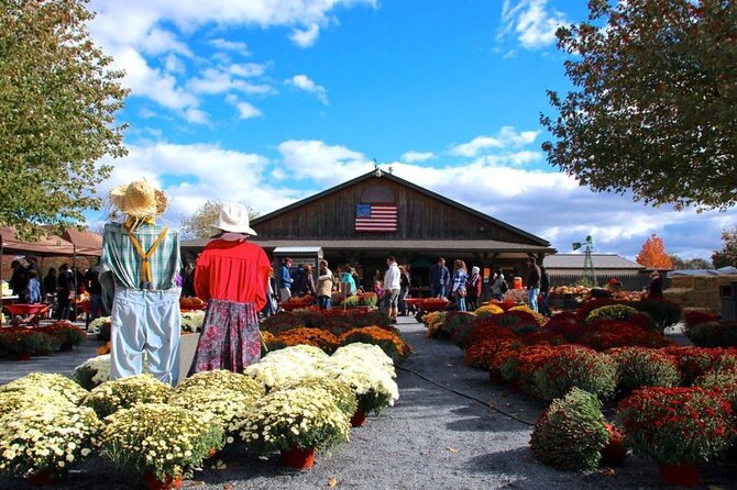 Happy Farm Fun Day Tour from NY | Kids 50% Off - How the Kittatinny Mountains Farm Completes the Escape from NYC