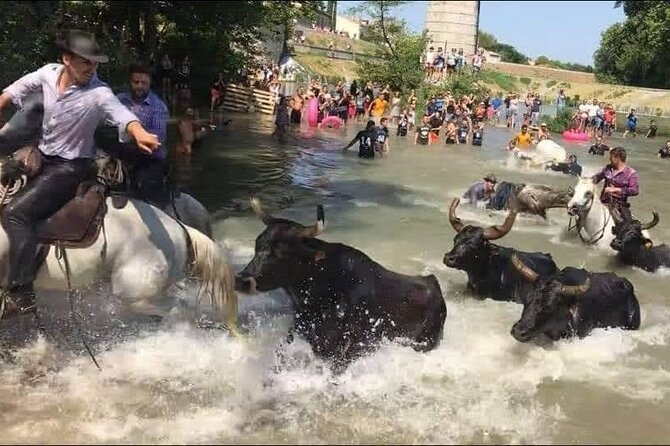 Happy tour camargue an immersion by bike and scooter E - Practicalities: Booking, Cancellation, and Weather