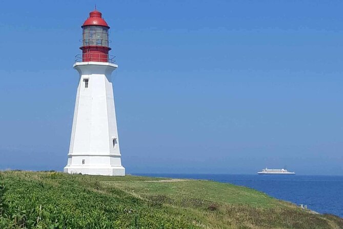 Harbor Highlights: Sydney City Tour - Key Points