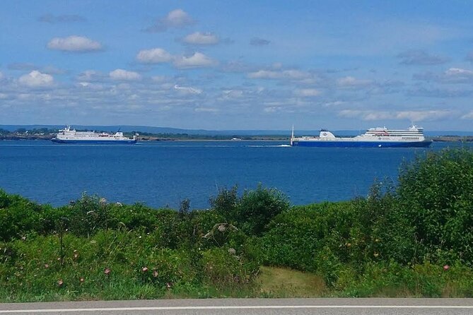 Harbor Highlights: Sydney City Tour - Stops at Fort Petrie Military Museum and Low Point Lighthouse