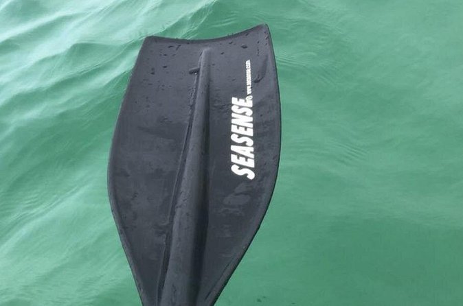 Harbor Kayak Rental in Destin, Florida - Who Will Appreciate This Kayak Rental?