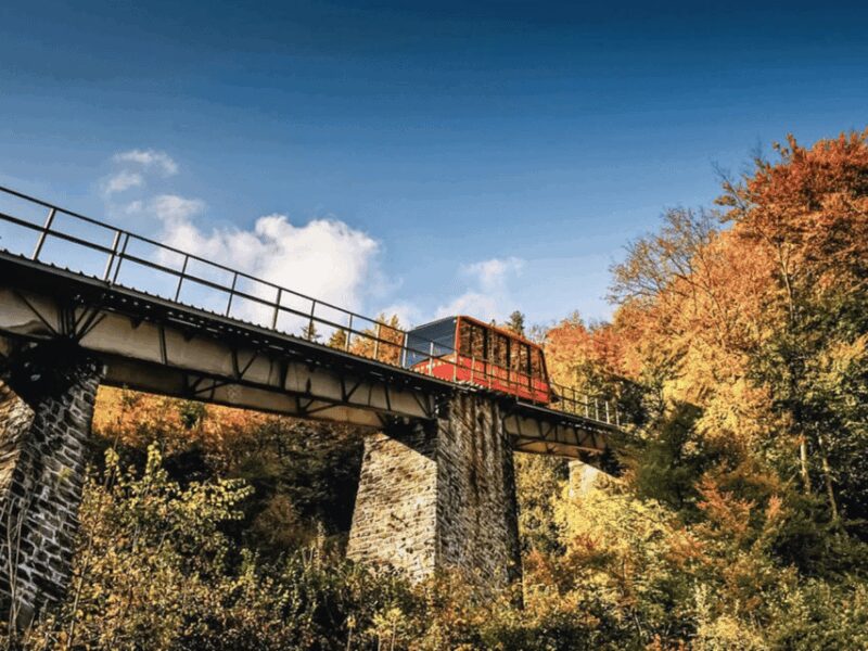 Harder Kulm and Grindelwald Private Day Trip - Comparing This Tour to Similar Options