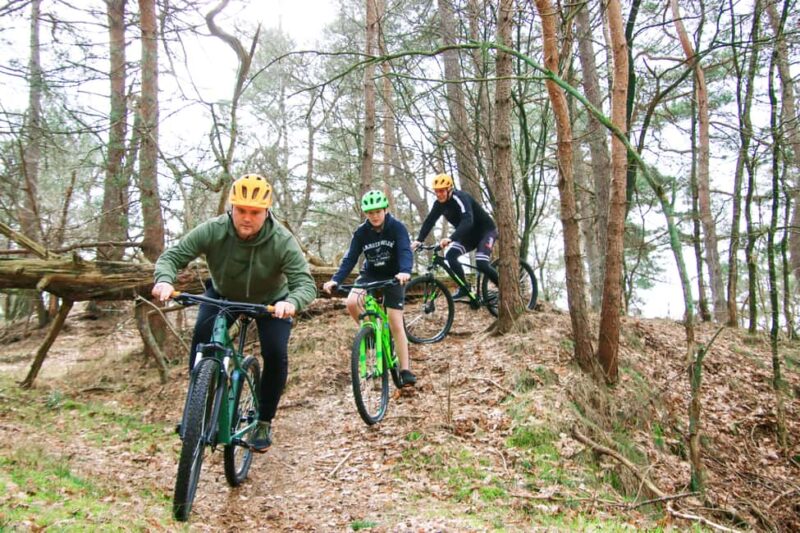 Harderwijk: Mountain Bike Rental on the Veluwe - Explore the Veluwe on a 4-Hour Mountain Bike Adventure in Harderwijk