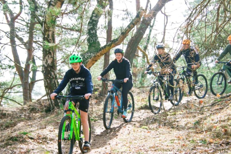 Harderwijk: Mountain Bike Rental on the Veluwe - Key Points
