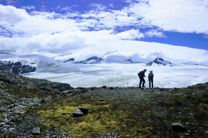 Harding Icefield Trail Hiking Tour - Highlights of the Harding Icefield Hike