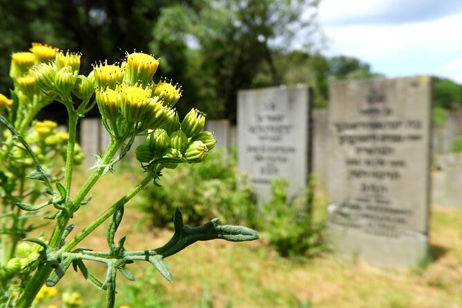 Hardships of the Past Amsterdam WW2 Private Walking Tour - Visiting the Iconic Anne Frank House: A Moving The Sum Up
