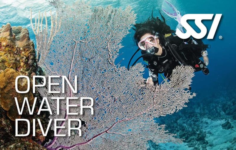 Haren: SSI Open Water Diver - Clear Foundations for Aspiring Divers in Northern Germany