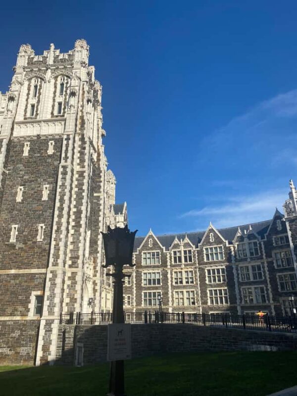 Harlem Tour in French and meet Harlem artist Paul Déo - Meet the Renowned Harlem Street Artist Paul Déo