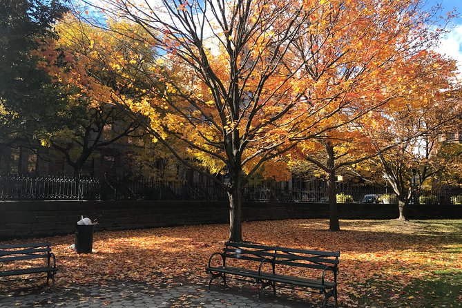 Harlem Walking Tour: Mount Morris Park Historic District w/ Lunch - Key Points