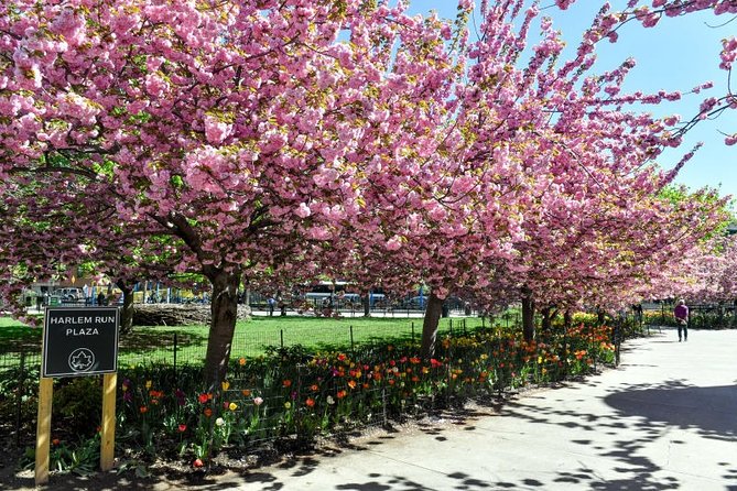Harlem Walking Tour: Mount Morris Park Historic District w/ Lunch - The Guide’s Depth of Knowledge and Local Insights