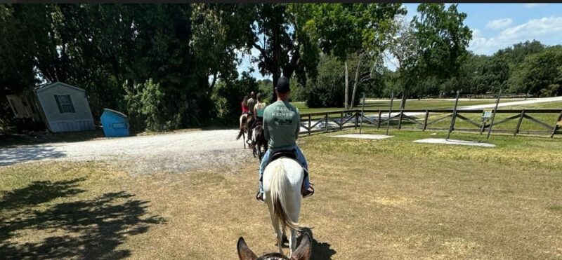 Harmony Horse Riding of Miami - Key Points